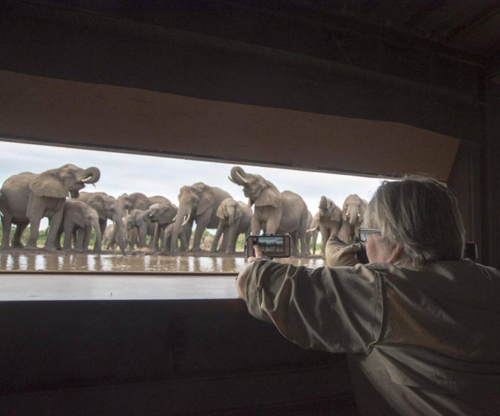 Africa's fabulous photo hides and hotspots